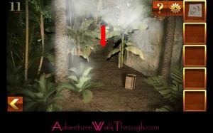 Can You Escape Adventure Level 11 escaped